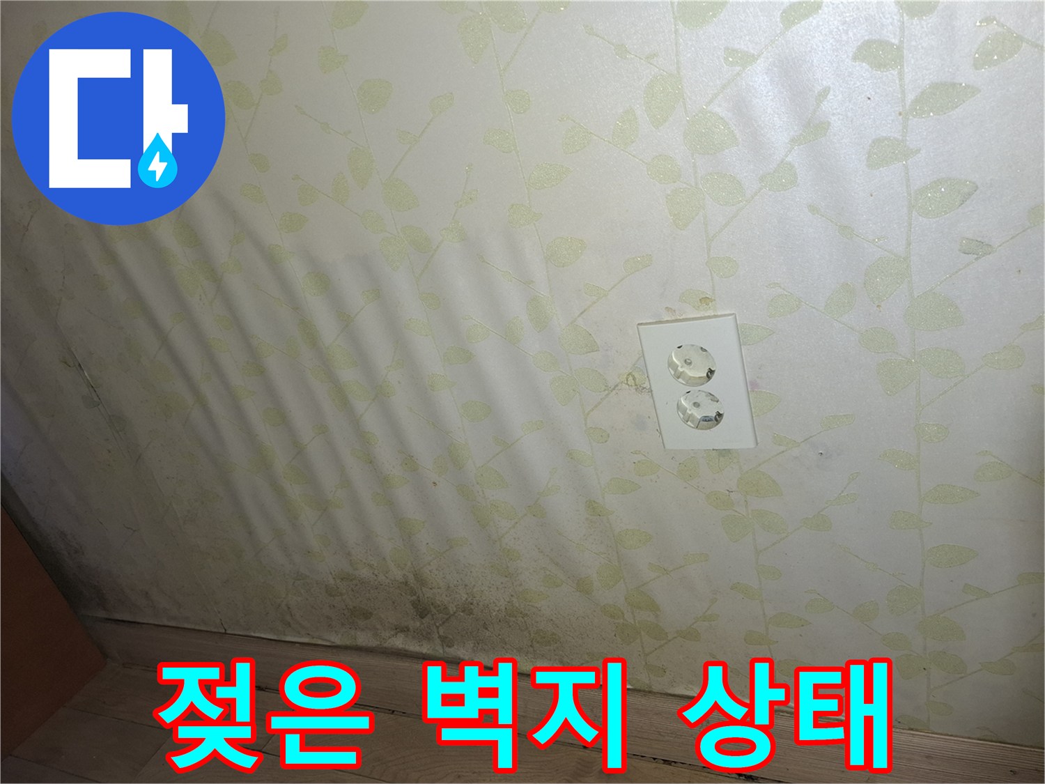 하단부 곰팡이와 습기를 머금은 벽지 사진