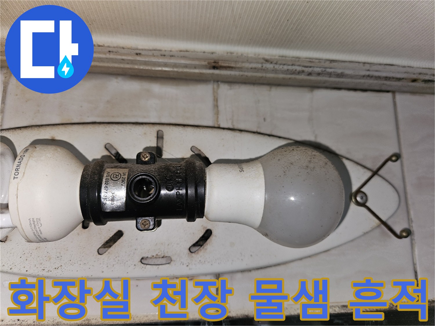 양천구 화장실 천장의 전등 주변 습기 및 얼룩 상태