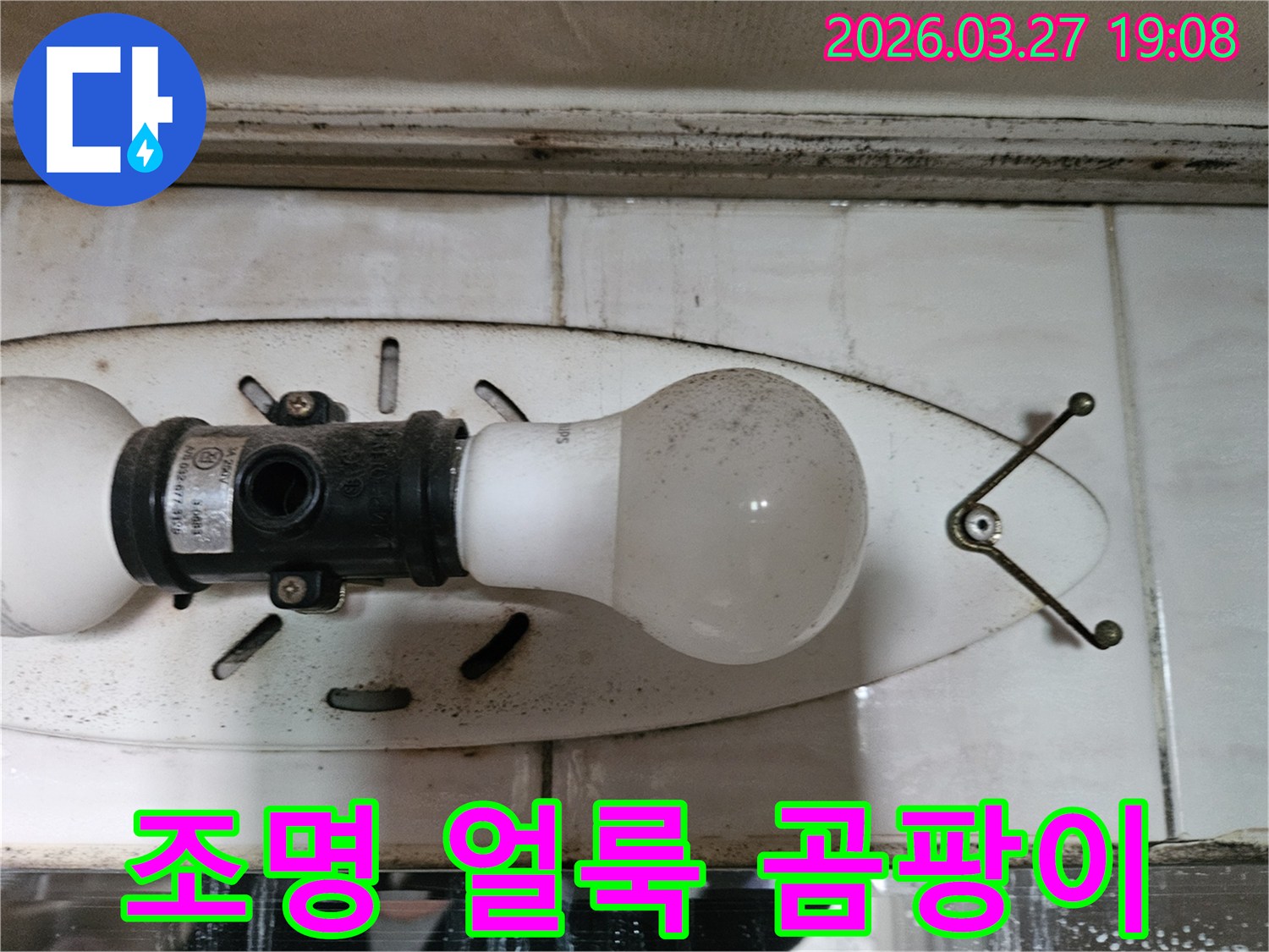 이 이미지는-천장 조명 주변에-생긴-누수로-인한-얼룩과-곰팡이를-선명하게-보여주며-이는-즉각적인-조치가-필요함을-나타냅니다