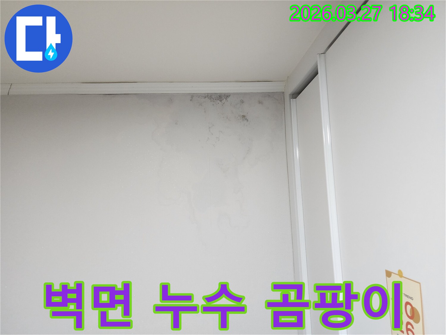 벽에-발생한-누수-흔적과-천장-근처-심각한-곰팡이-오염-사진입니다