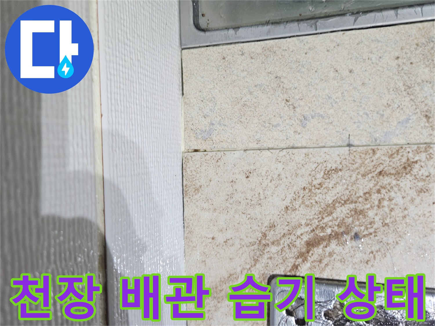 천장-내부-배관-주변의-젖은-콘크리트와-타일
