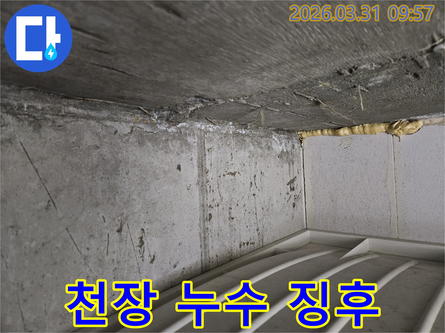 콘크리트 벽면과-천장 모서리에서-발견된-누수 흔적과-백화 현상을-보여주는-현장 사진입니다