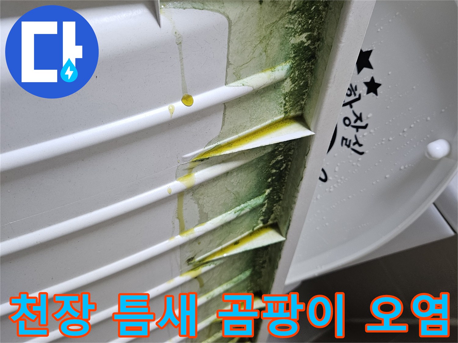 화장실-천장-내부-배관-주변의-심한-오염과-물때
