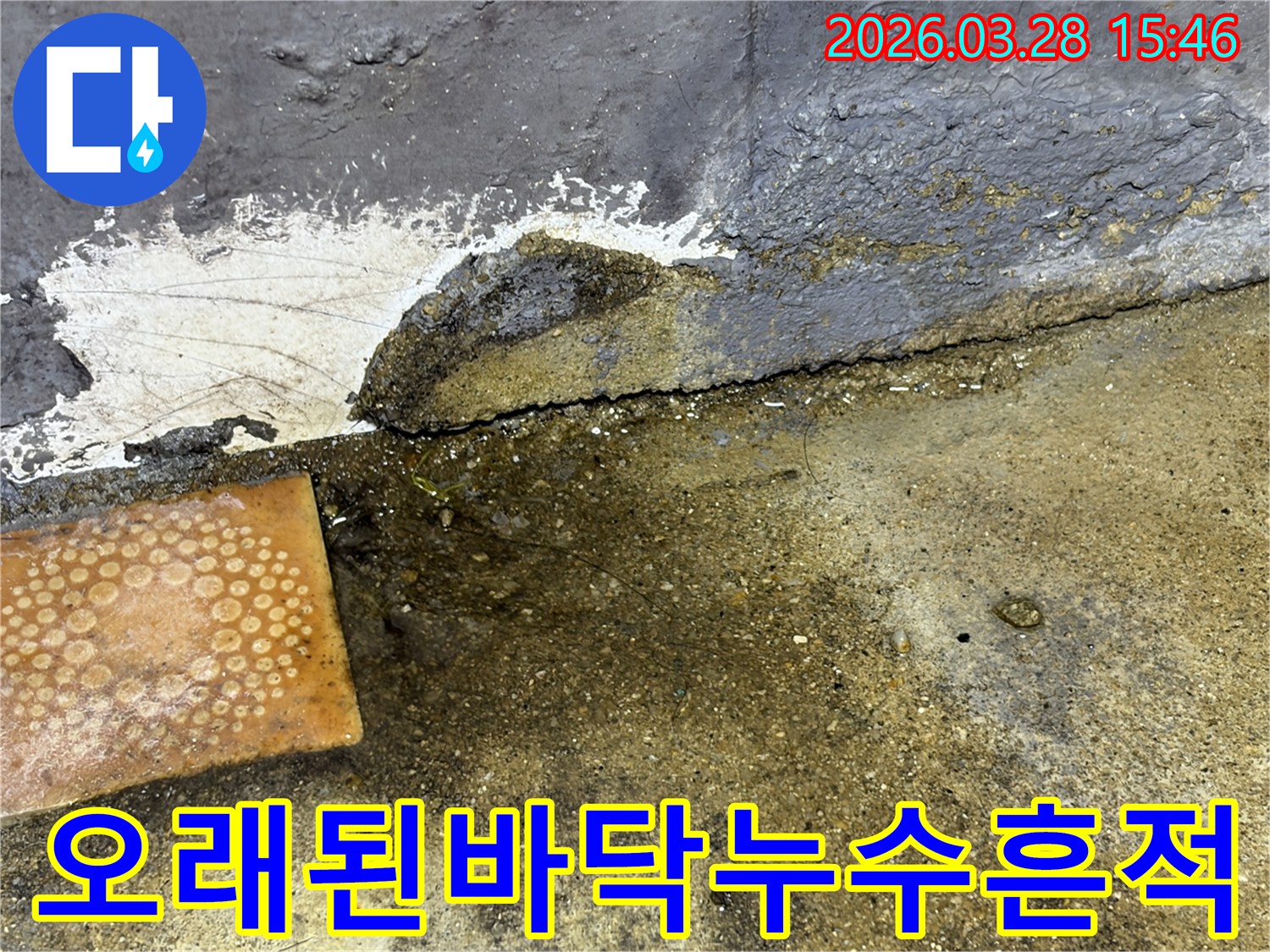 오랜-시간-누수가-진행된-듯한-콘크리트-바닥의-균열과-물고임-현장-사진입니다