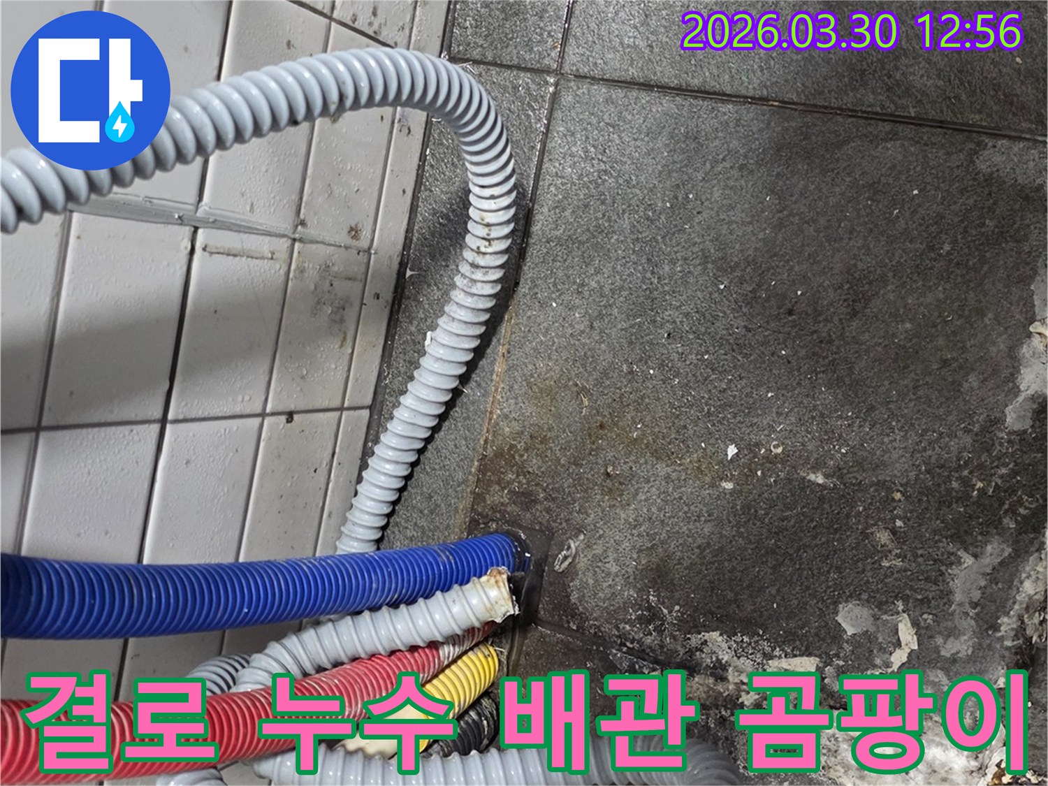 결로-현상으로-인해-배관-주변에-습기와-곰팡이가-발생한-현장-사진