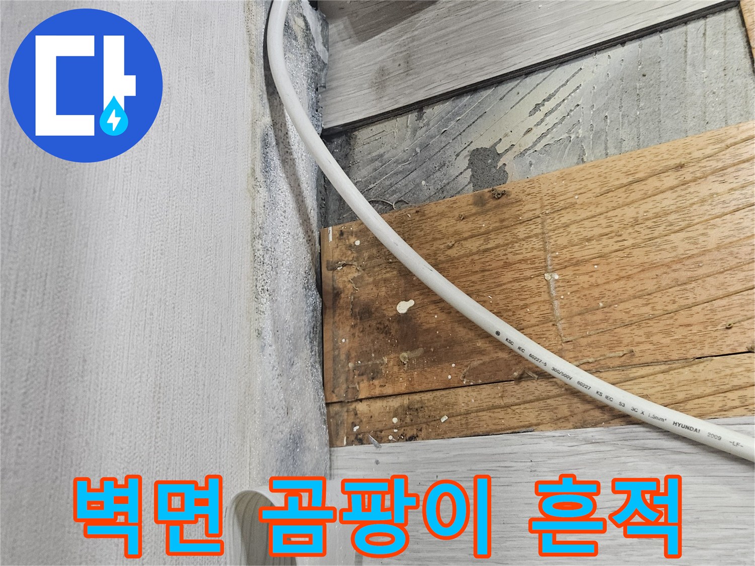 콘센트 주변-벽면 곰양이가 발생한 상태
