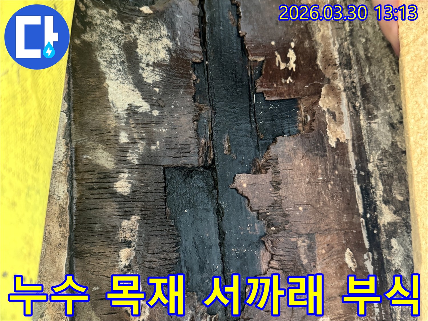 누수로 인해-목재 서까래가 물에 젖어-검게 변색되고-부식된 심각한 손상 상태