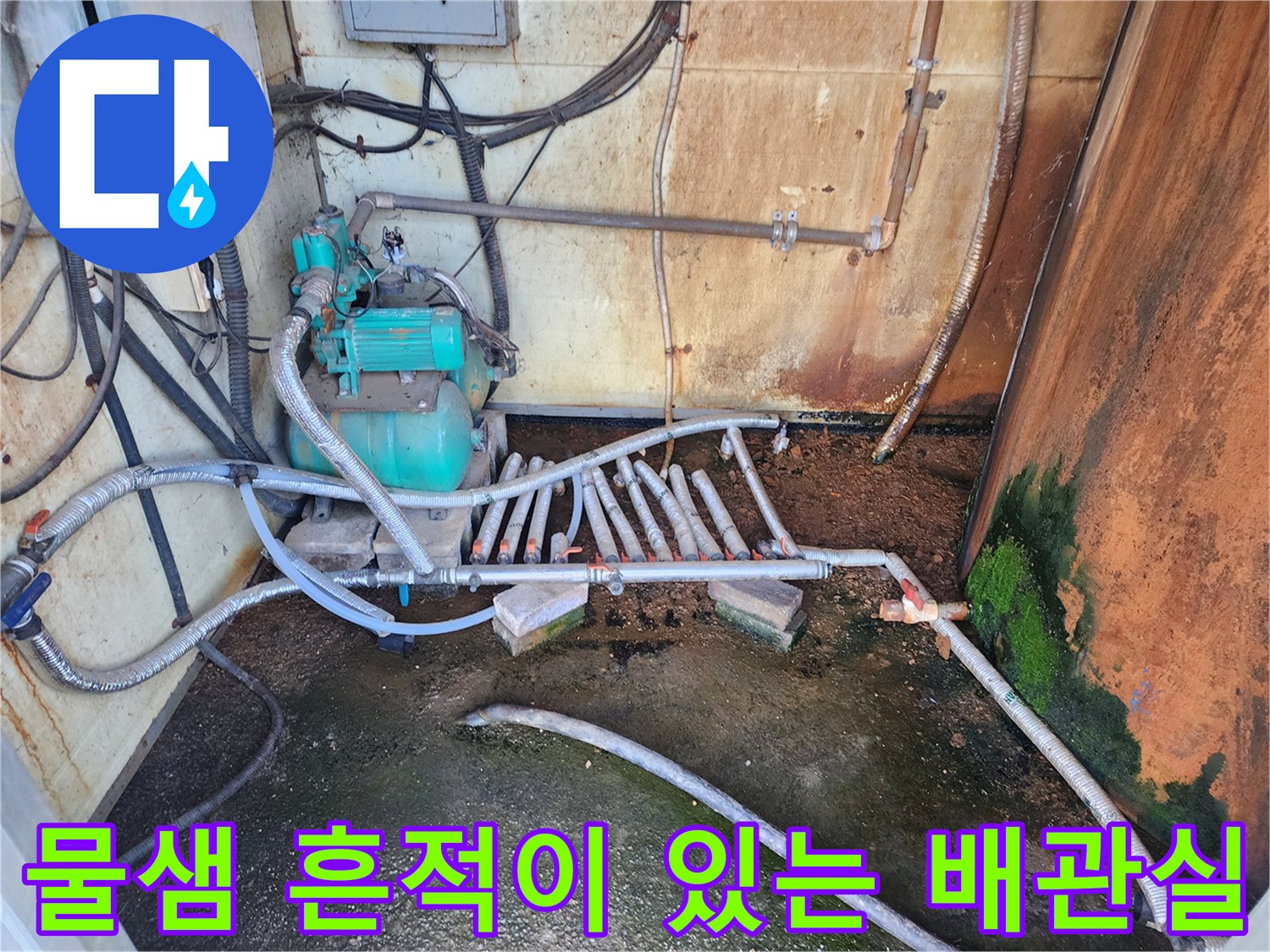 성환 현장-이끼와 물기로 오염된 펌프 및 배관 연결 구간