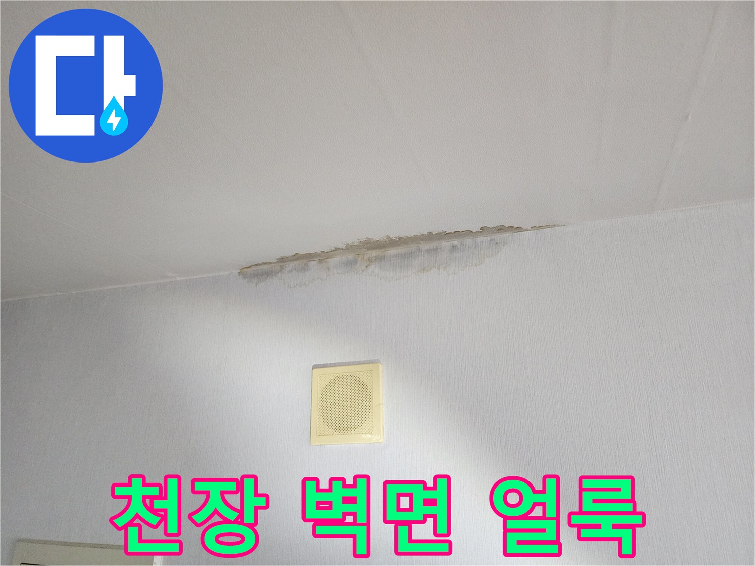 천장과-벽면이-만나는-경계-부위의-얼룩-상태