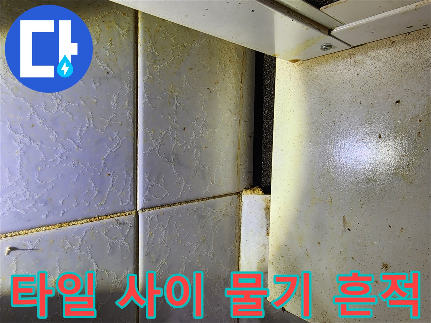 중랑구 현장-보일러실 타일 틈새에 스며든 습기와 오염 확인