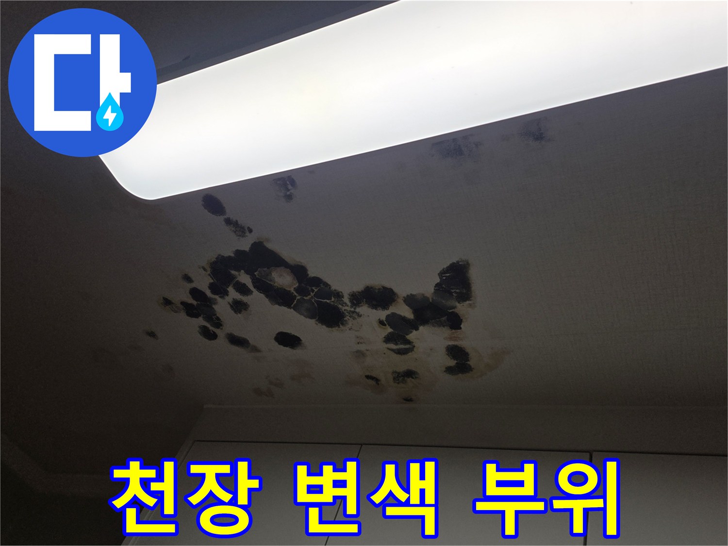 천장 조명 주변-누수로 인한 심한 벽지 변색과 오염