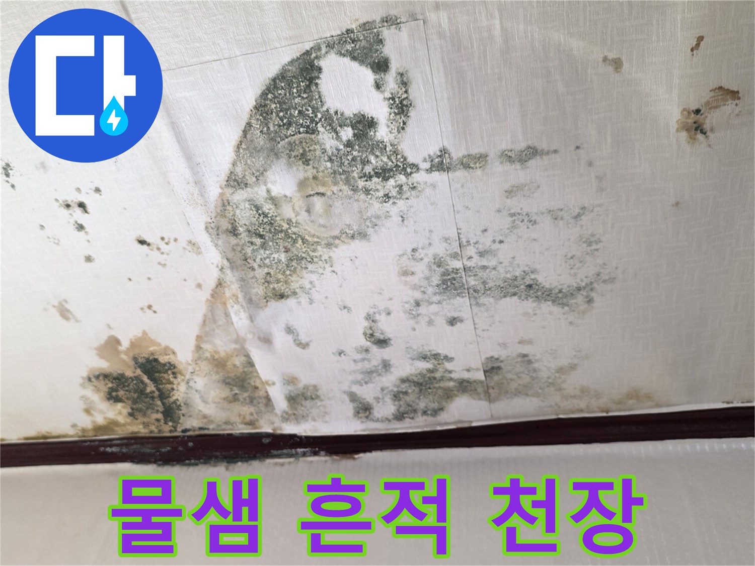 물기가 스며들어 얼룩지고 곰팡이가 생긴 천장 부위
