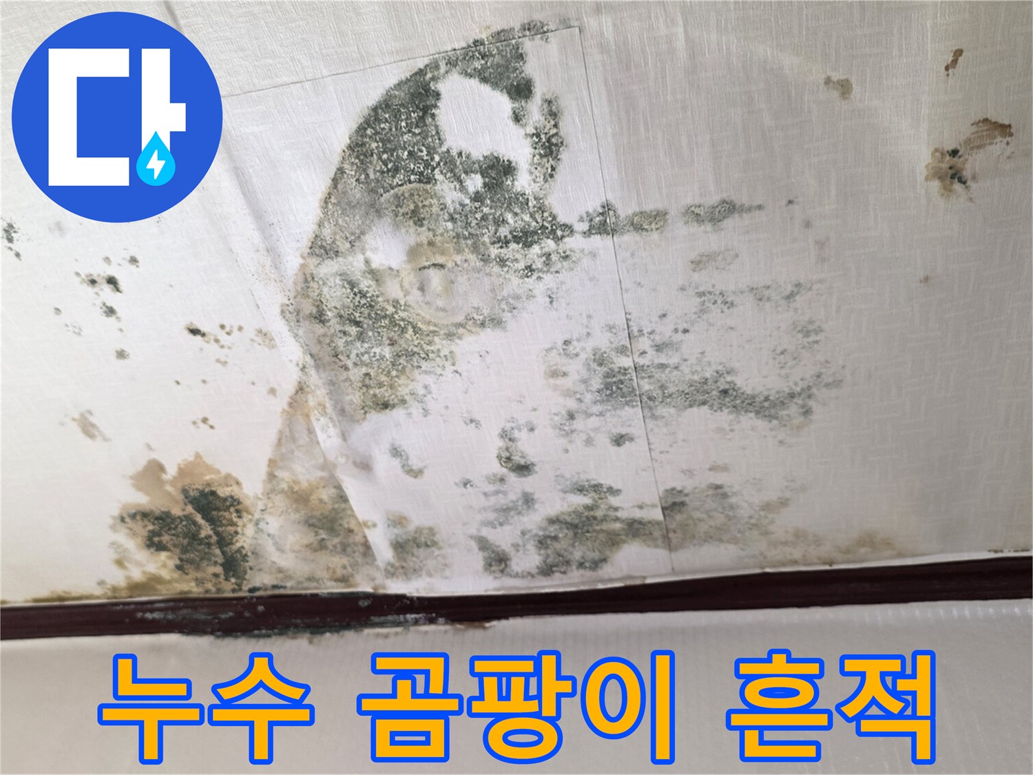 천장 누수 피해-검게 변한 곰팡이와 습기 자국