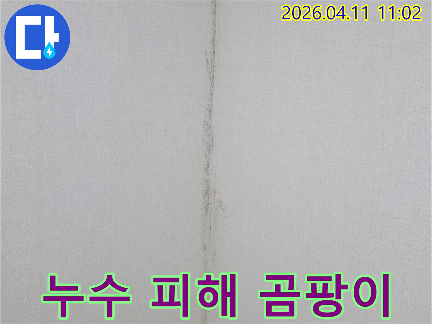 누수-전문가가-발견한-천장-곰팡이-발생-지점