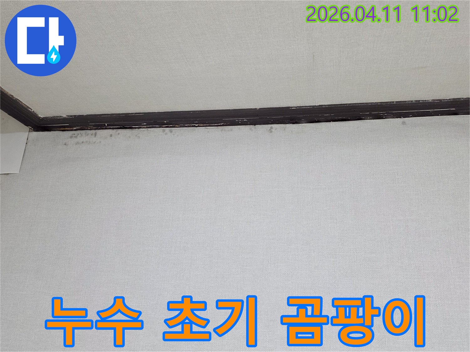 천장과-벽면-경계에-나타난-작은-물자국과-곰팡이-흔적을-보여주는-누수-초기-증상-사진입니다