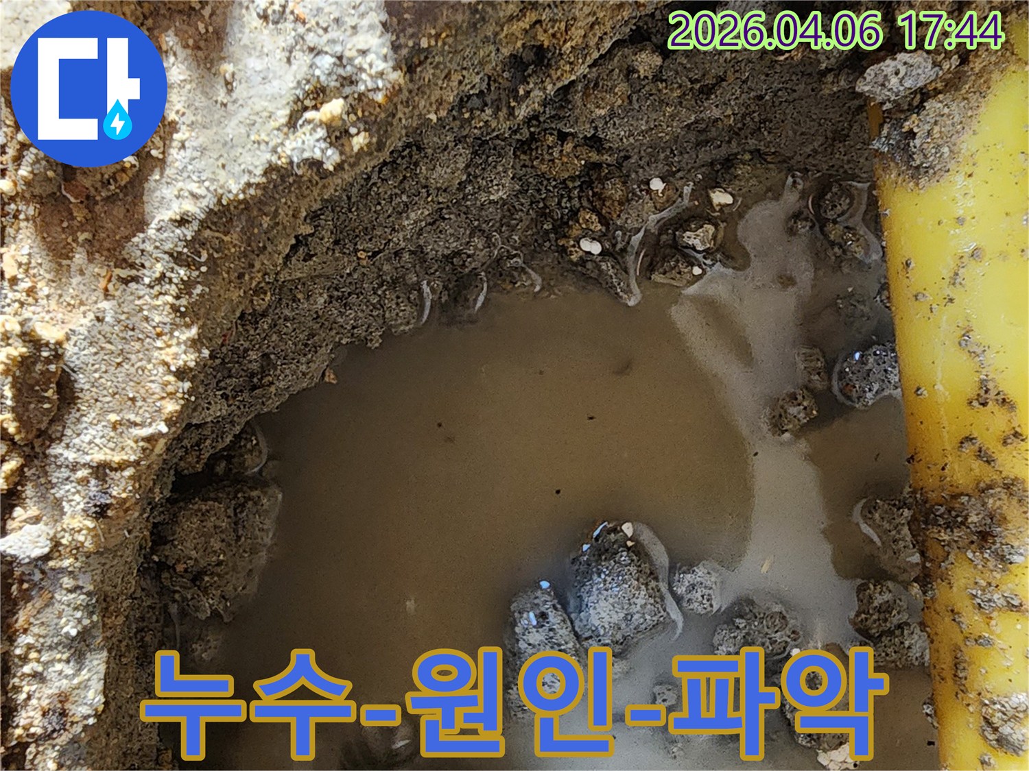 누수-진단-과정에서-확인된-배관-주변의-습기와-물고임-현상입니다
