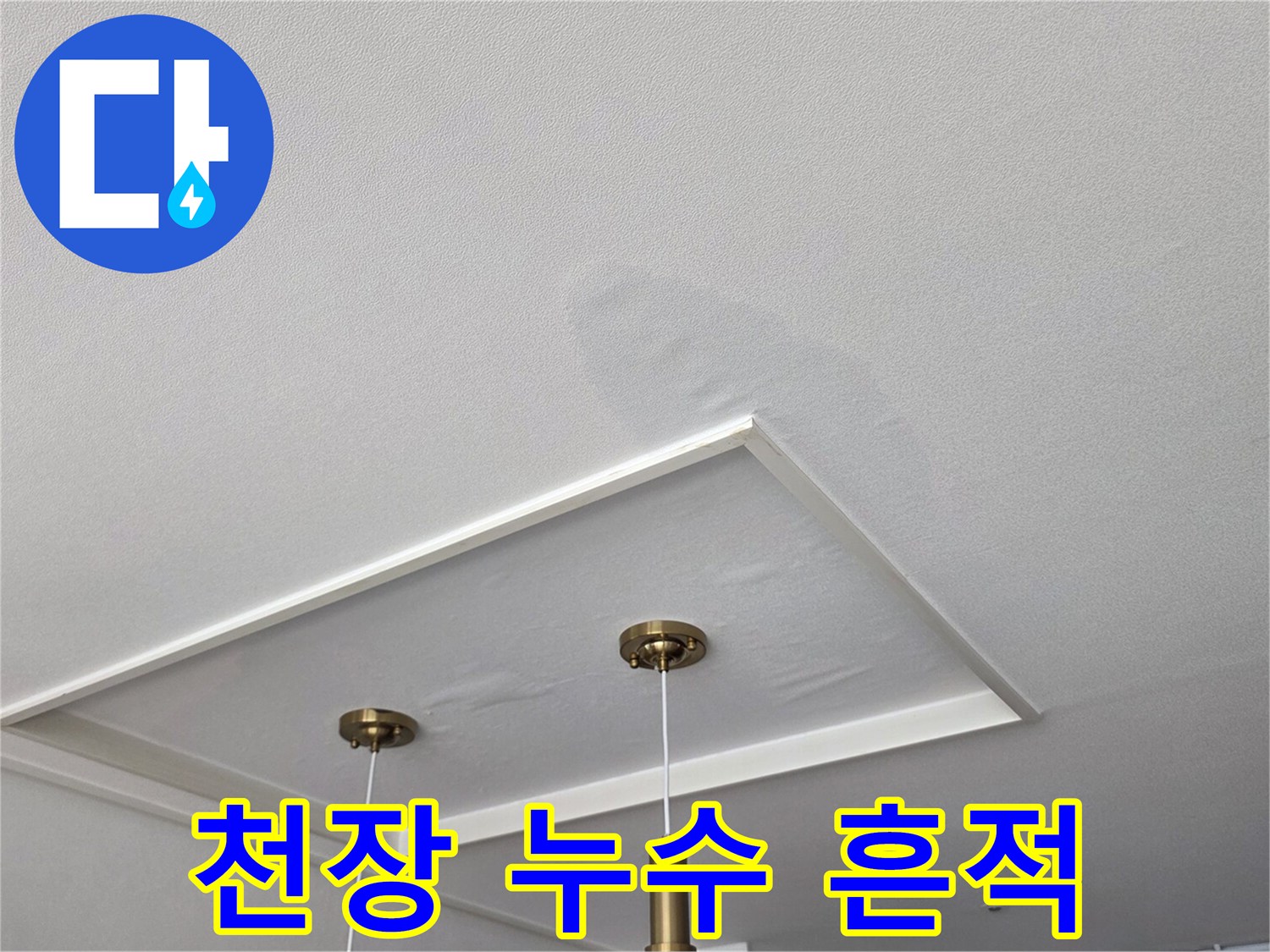 매립형 조명 주변으로 넓게 퍼진 천장 누수 피해 부위
