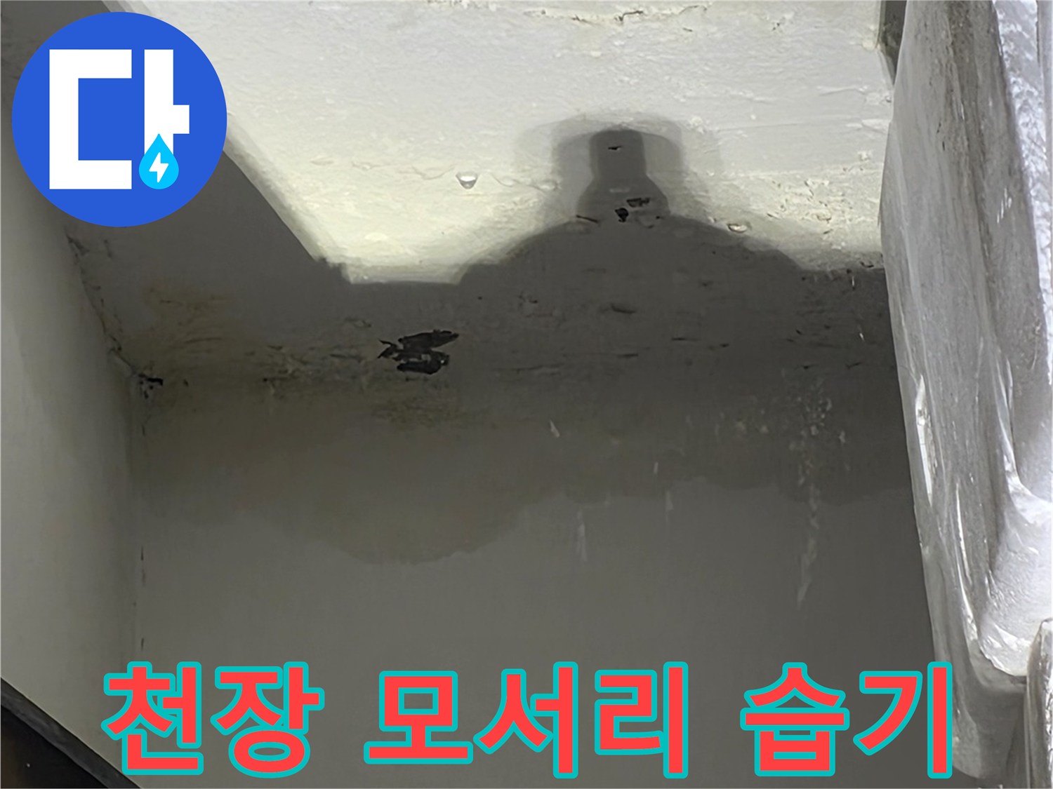 습기가 침투하여 젖어있는 세탁실 천장 구석 부위