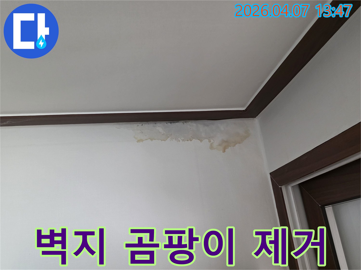 벽지 곰팡이와 천장 누수 흔적은-전문적인 제거와 보수를 통해-해결해야 합니다