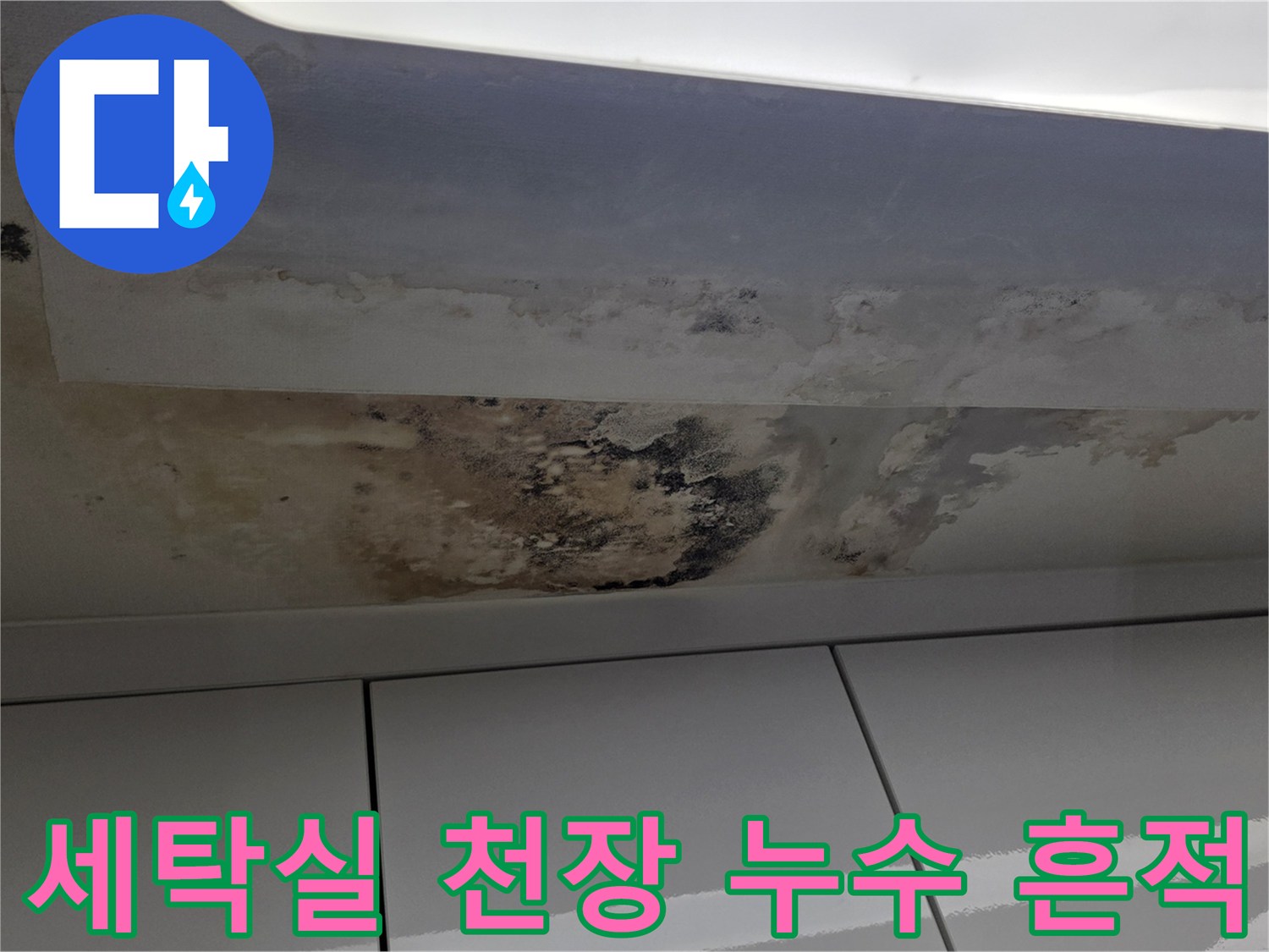 성남 중원구-세탁실 천장 부근의 물샘 흔적과 곰팡이 발생 상태