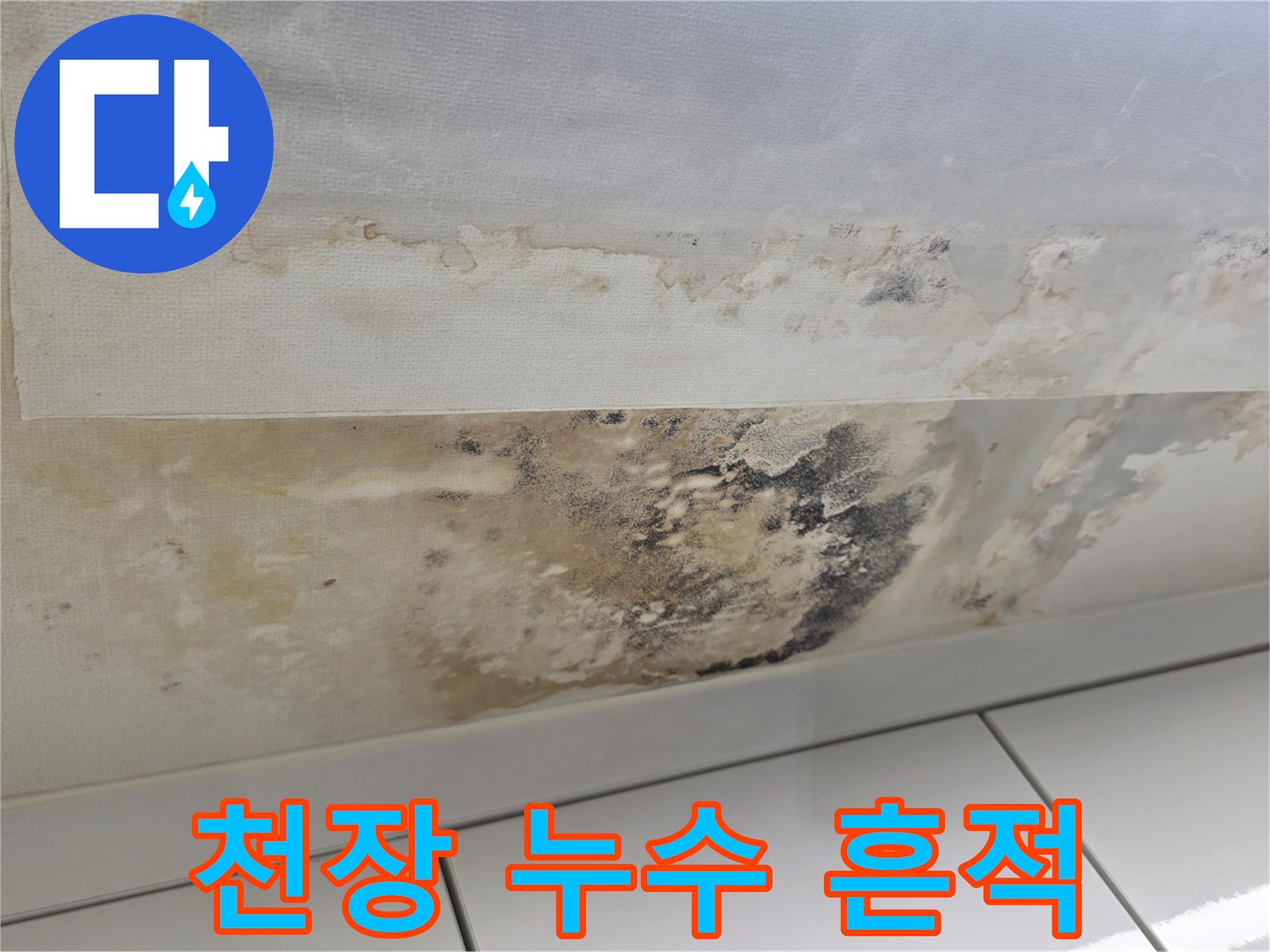심하게 변색된 천장 벽면의 누수 및 곰팡이 발생 현황