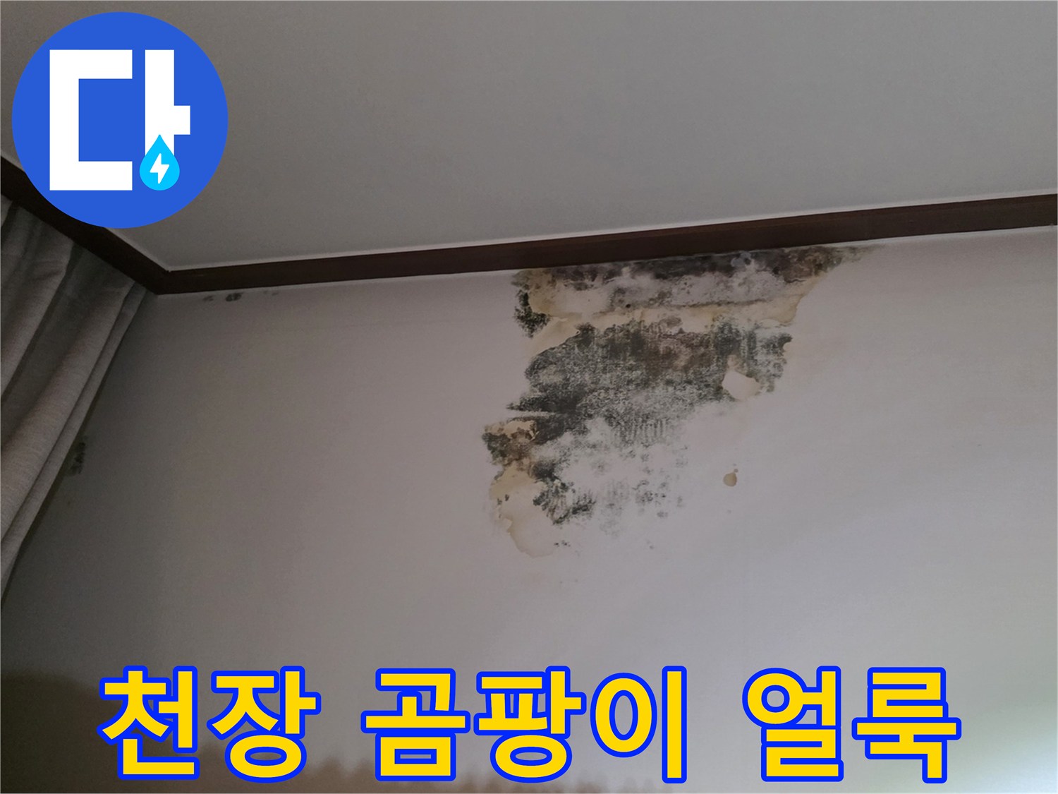 아랫집-거실-천장-벽지에-발생한-심각한-곰팡이와-습기-흔적