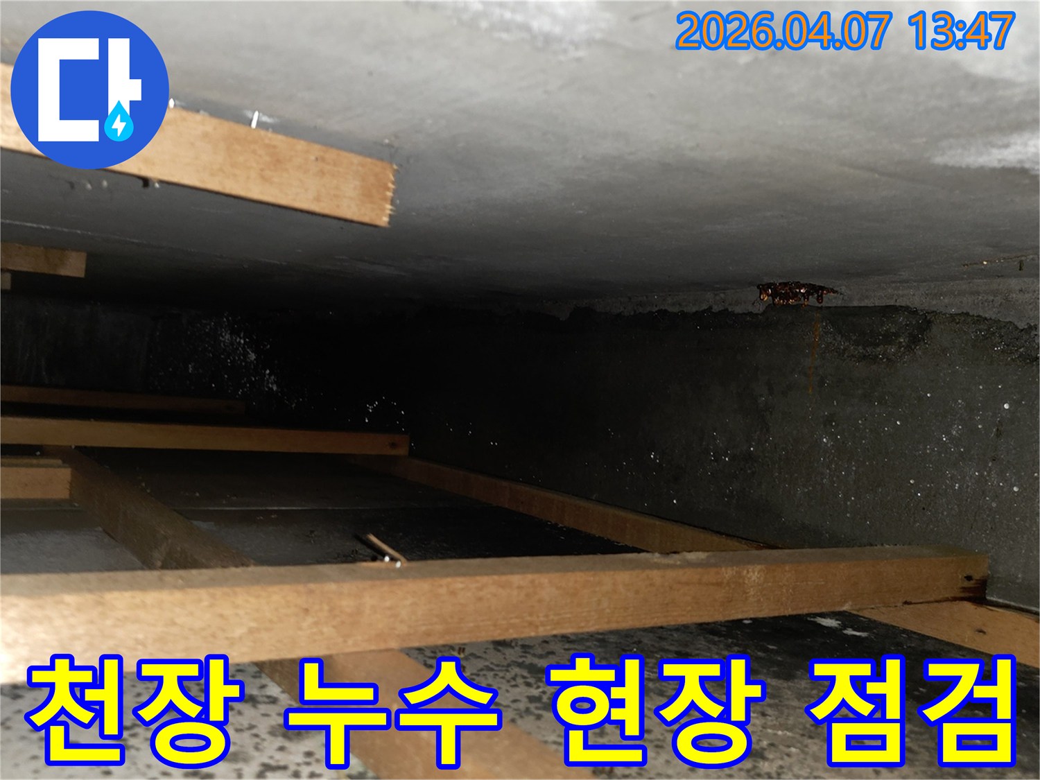 어두운 공간에서 천장 콘크리트에서 물이 떨어지는 누수 현장을 점검하는 모습