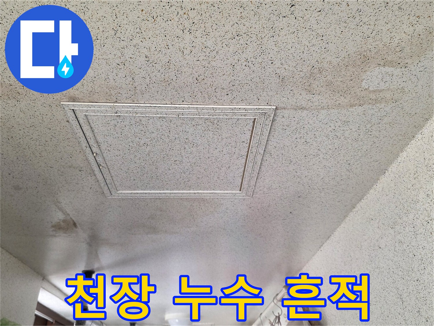 점검구 주변으로 번진 천장 누수 및 얼룩 부위