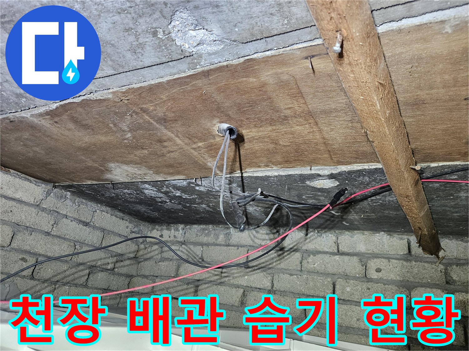 송파구 가락본동-천장 배관 주위의 습기 및 전선 상태