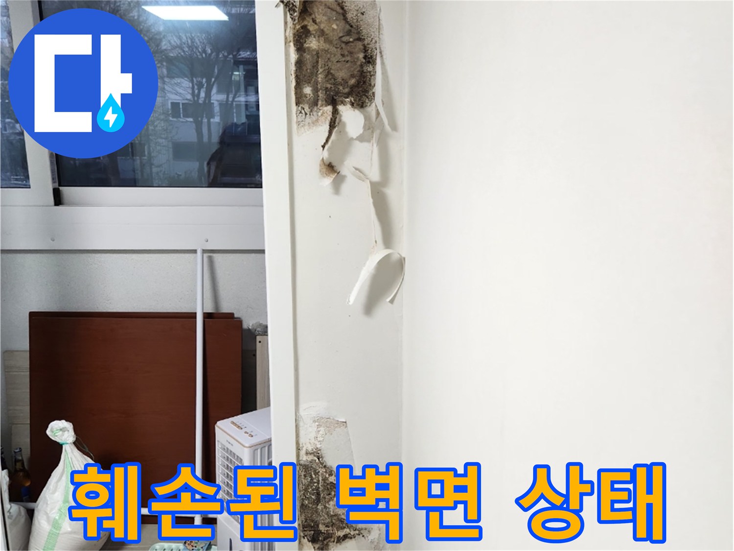 누수로 인해 변색되고 곰팡이가 발생한 벽면 부위