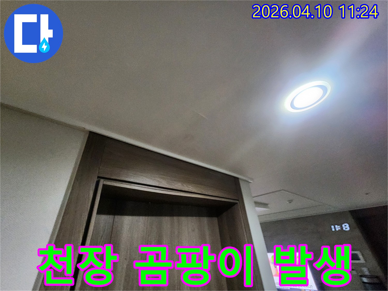 천장에-누수로-인해-곰팡이가-번식하기-시작한-모습입니다.