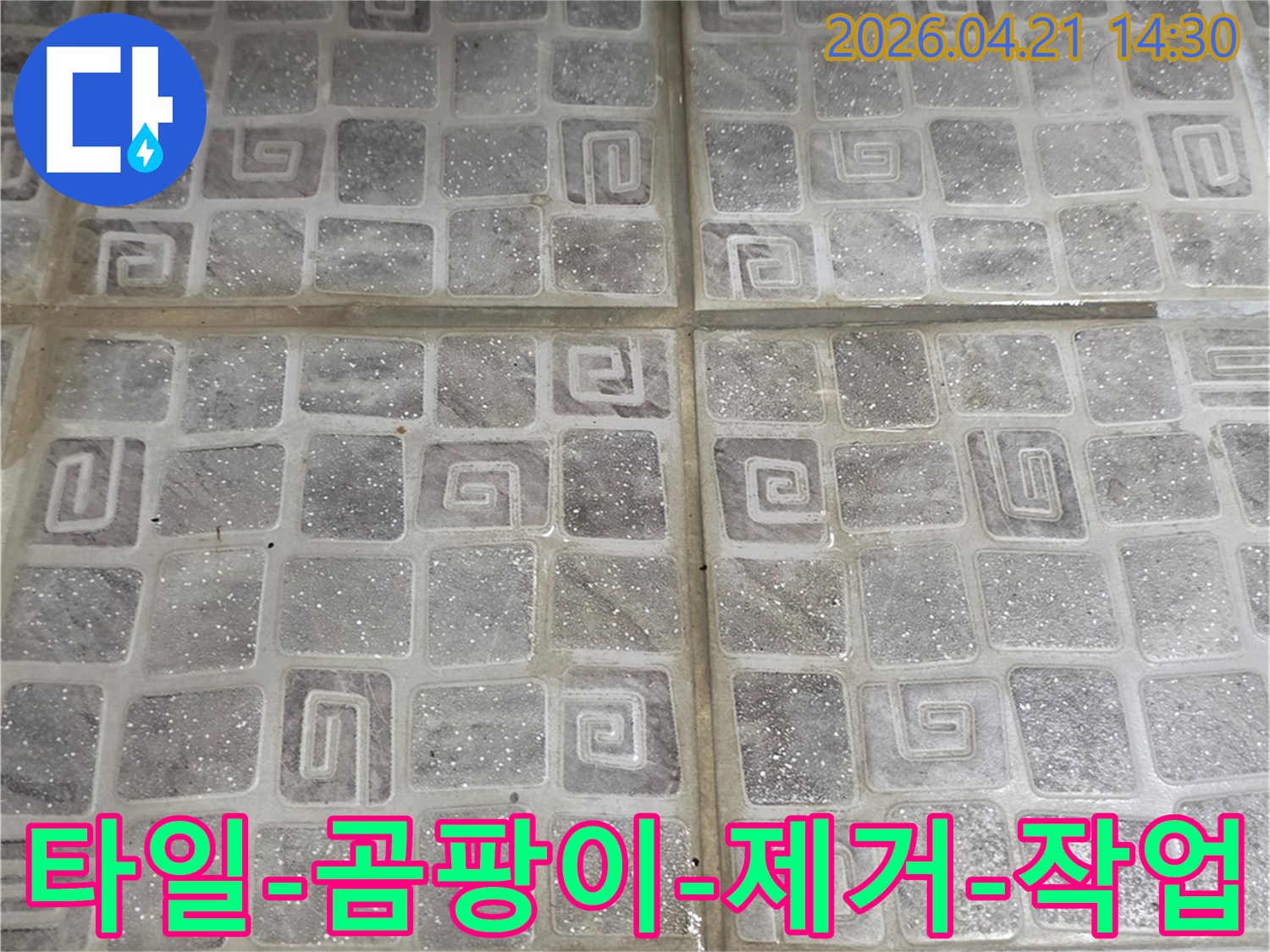 누수-전문가가-주택-타일-벽면에서-발견한-곰팡이를-제거하는-과정을-보여주는-사진으로-누수-해결에-활용됩니다