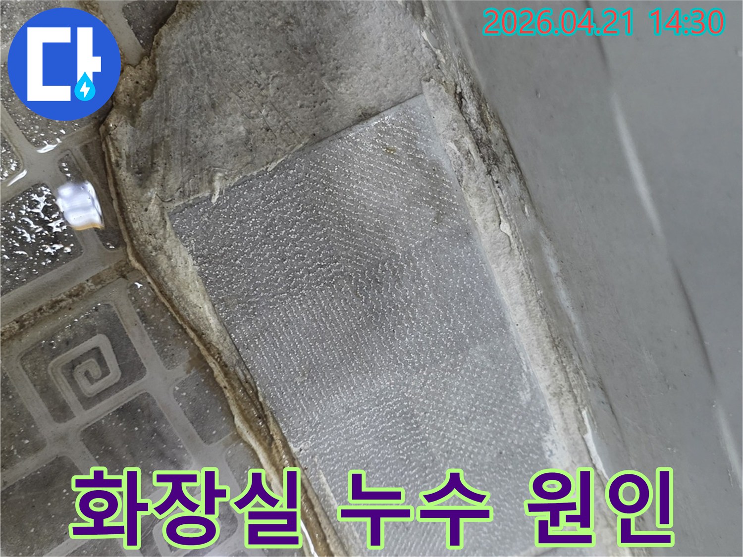 타일-줄눈-손상으로-인한-누수-현상-정밀-점검-사진