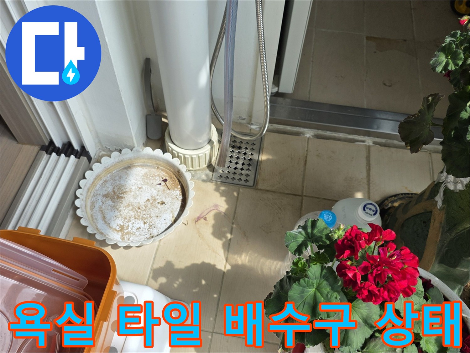 화장실 바닥-배수구 근처의 습기 및 얼룩 확인