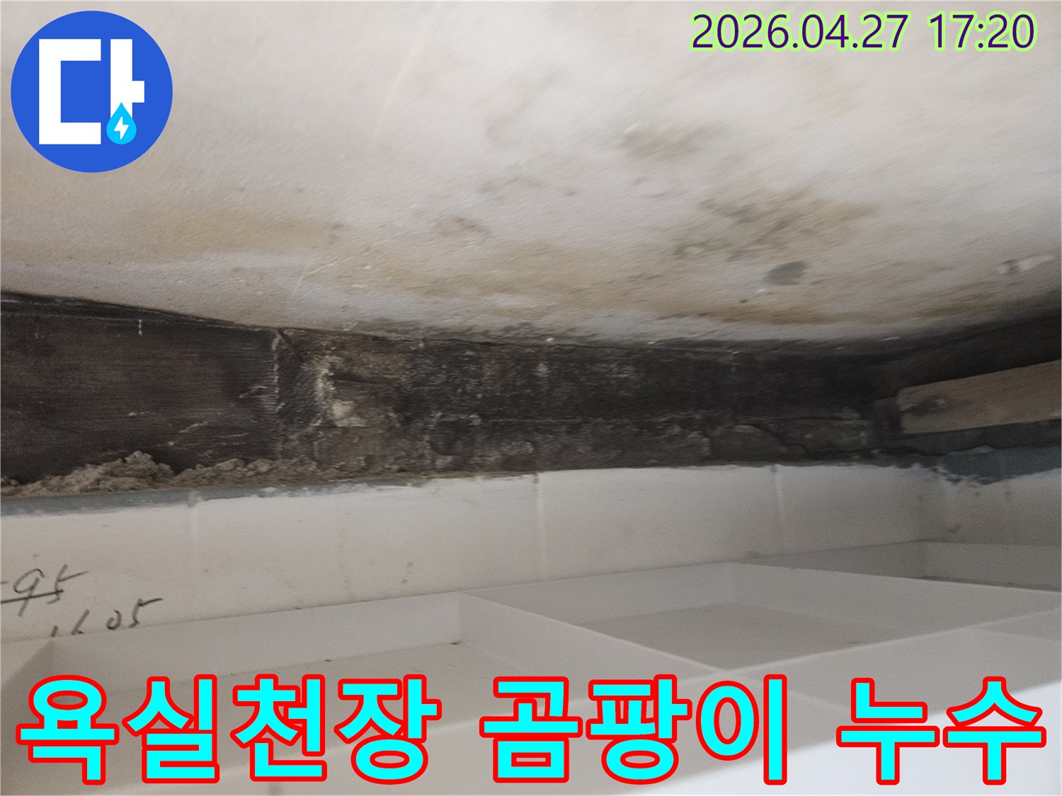 누수로 인해 욕실 천장-벽면에 발생한 심각한 곰팡이와 오염된 목재 구조물