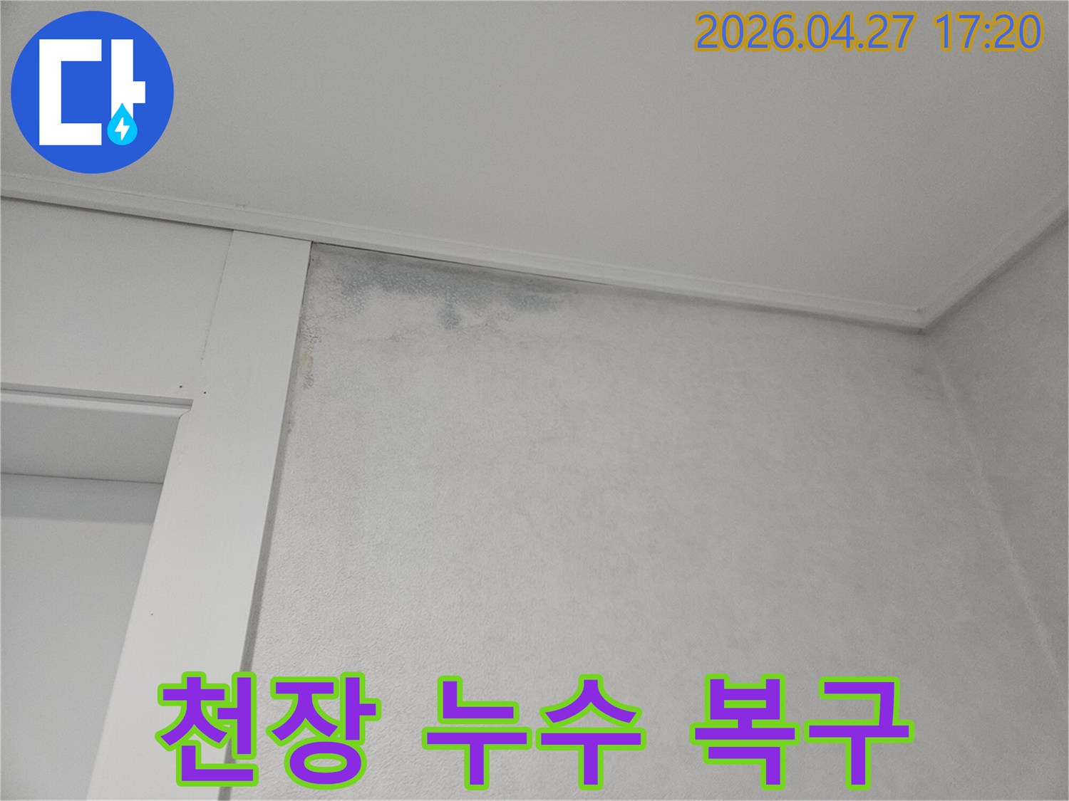 벽지-상단에-물에-젖어-변색된-부분과-곰팡이가-시작된-모습입니다.