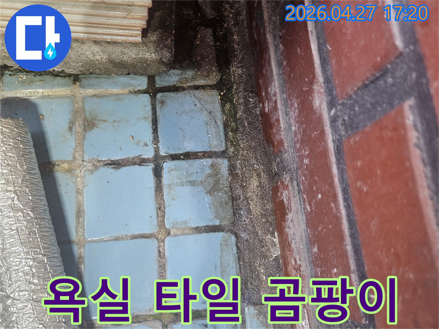 욕실 타일 틈새에-물때와 곰팡이가 심하게 낀-누수 현장의 모습