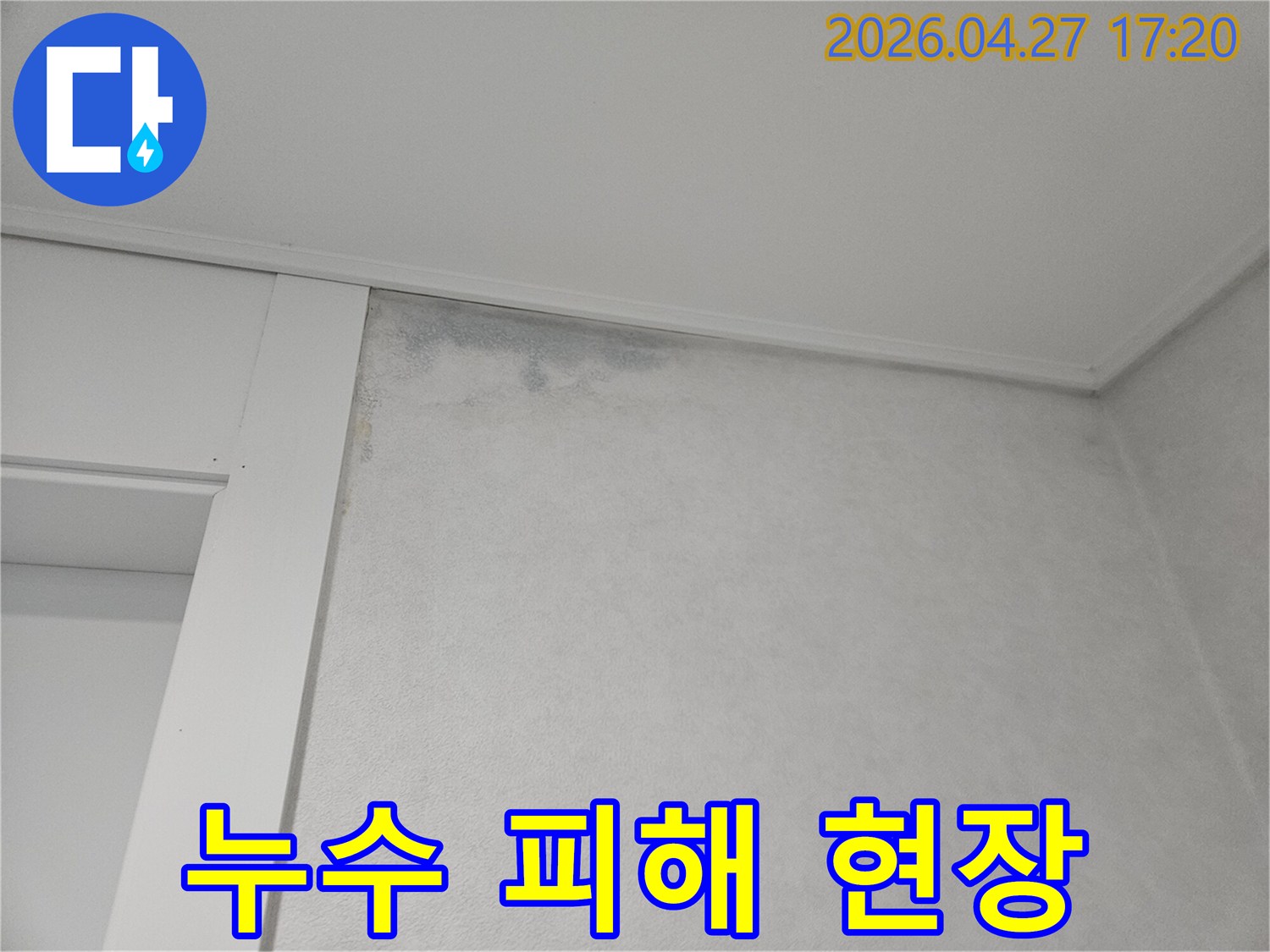 천장과-벽면의-경계에-나타난-물에-젖은-흔적과-곰팡이-시작점입니다.