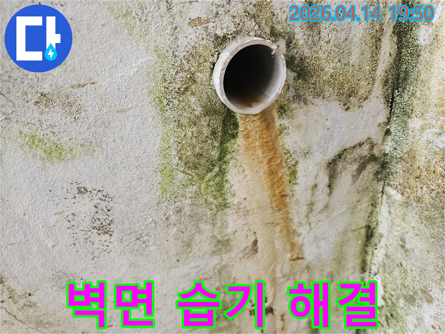 배관-주변에서-물이-새어-나와-벽에-오래된-물얼룩과-초록색-곰팡이가-생긴-모습입니다