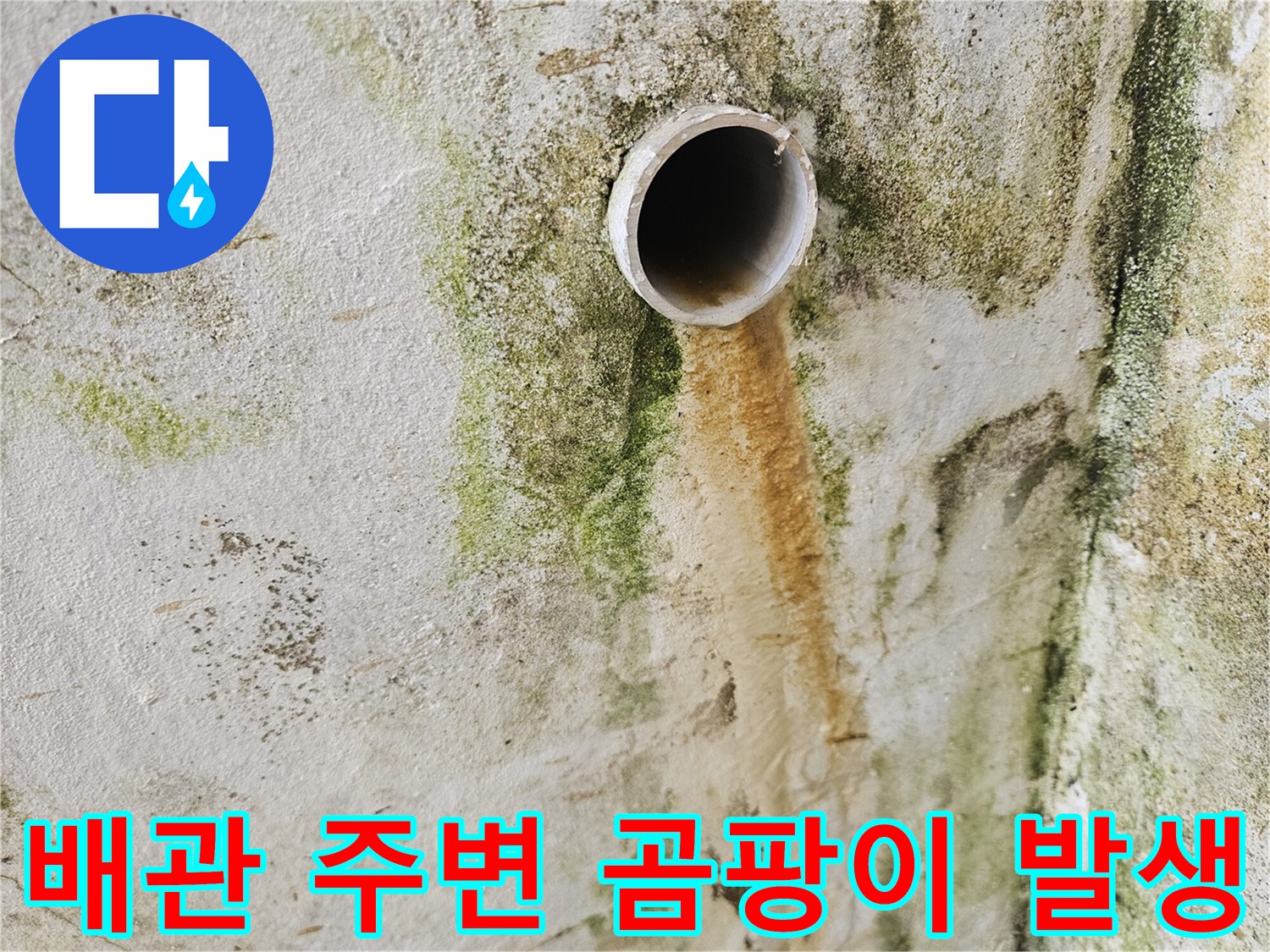 습기로-인한-배관-주변의-곰팡이-상태