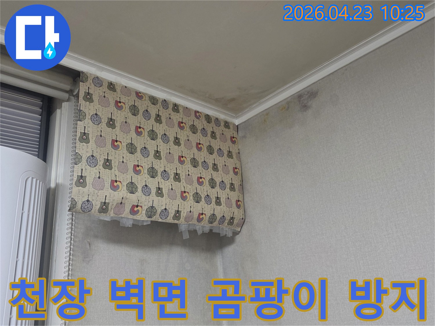 누수로-인해-곰팡이가-발생한-천장과-벽면을-보수하고-곰팡이-재발을-방지해야-하는-현장-사진입니다