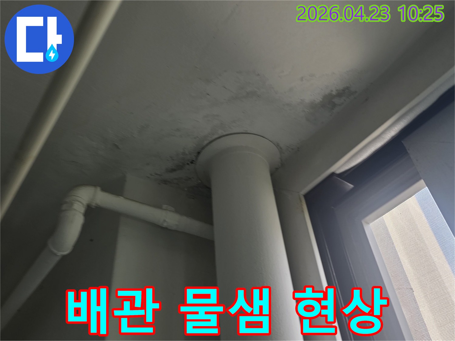 천장 배관 주변에서 물이 새는 현상과 곰팡이-오염