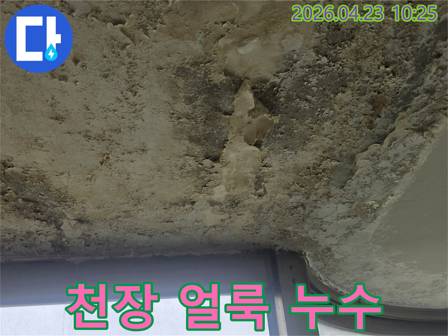 천장에서 물이 새어 페인트가 부풀어 오르고-부분적으로 떨어져 나간-심각한 누수 흔적
