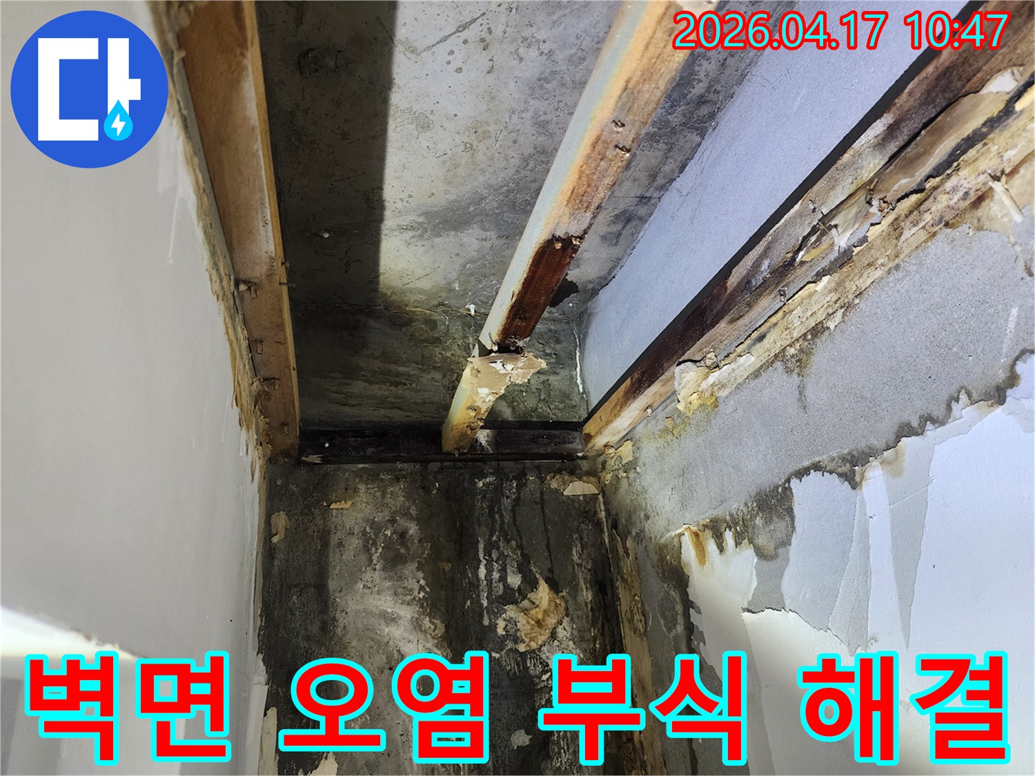 이 사진은-서울 서초구 잠원동에서 발생한-누수로 인한-심각한 벽면 오염과-목재 부식 현장을 보여줍니다