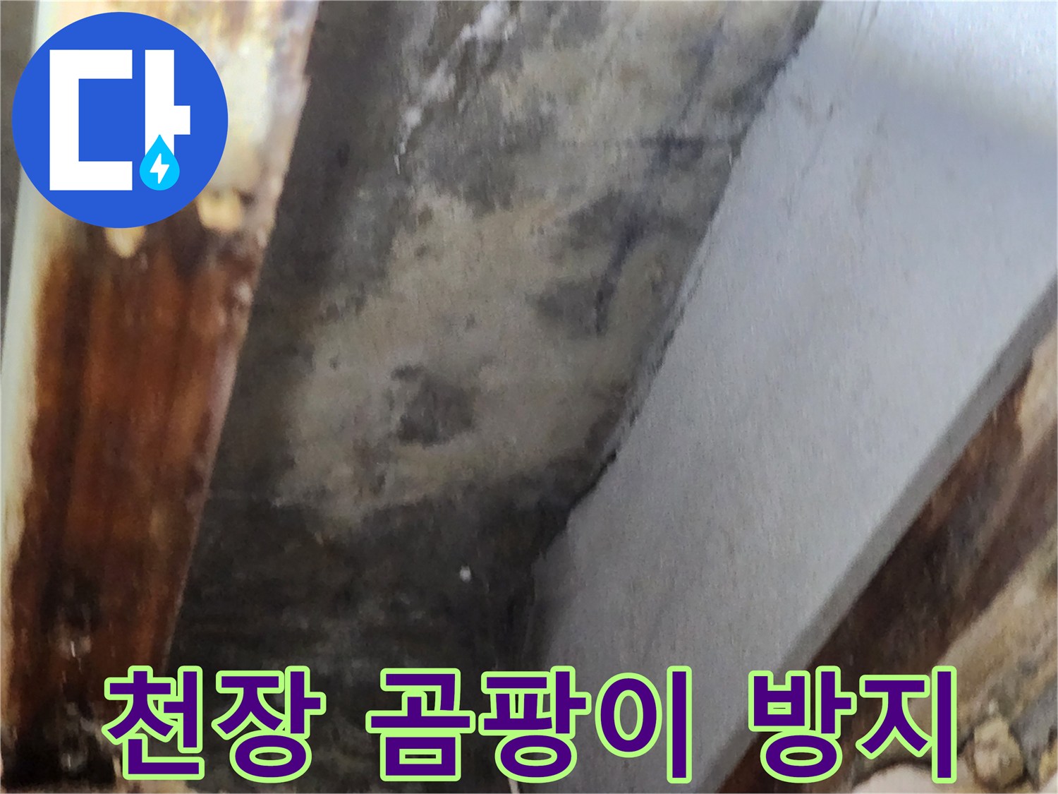 천장 모서리에 발생한 심한 곰팡이와-누수 흔적을 보여주는 이미지입니다