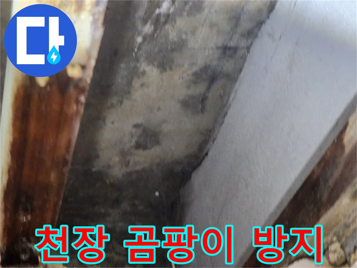 천장 모서리에 발생한 심한 곰팡이와-누수 흔적을 보여주는 이미지입니다