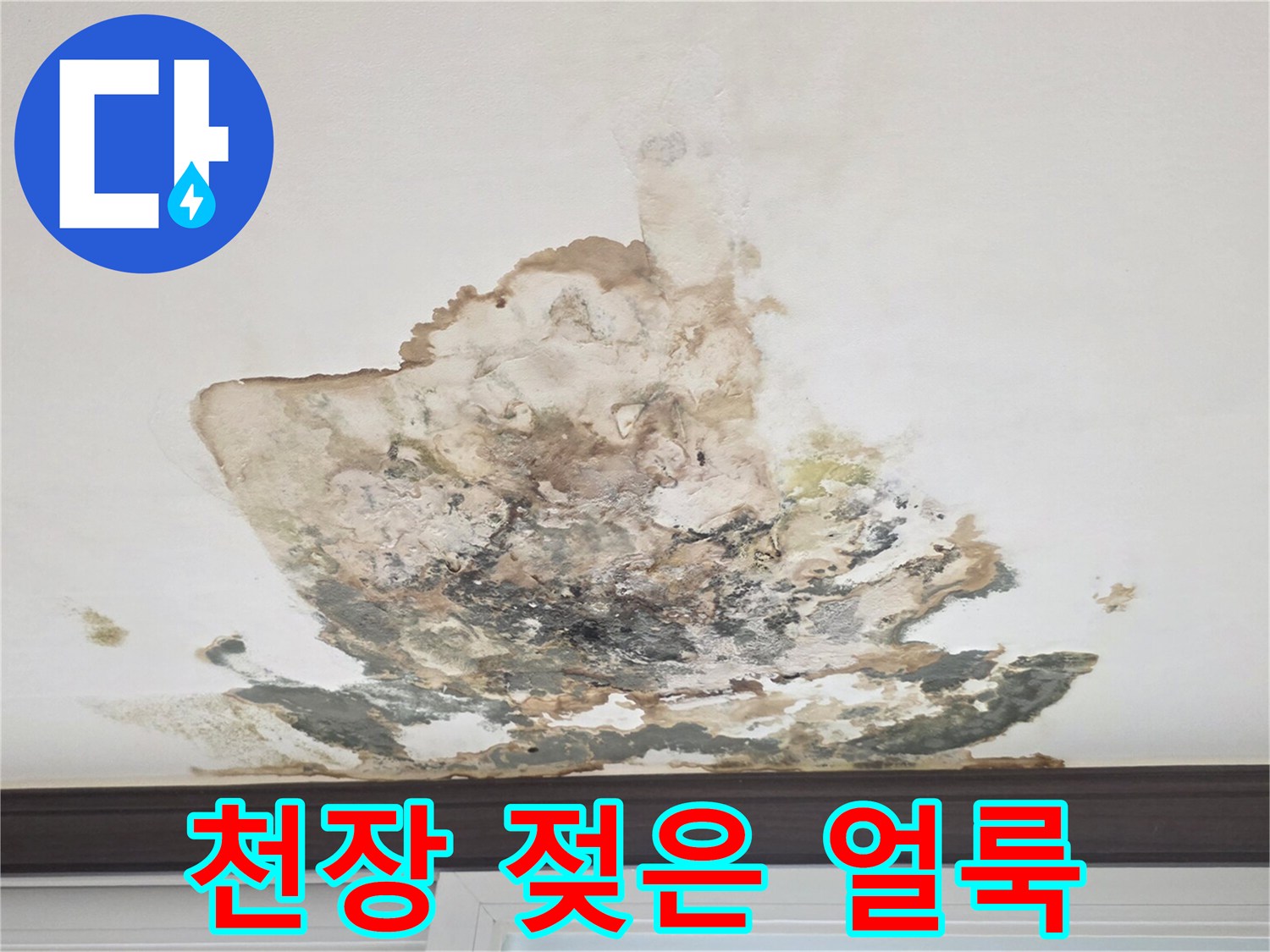 심하게 변색되고 젖어있는 천장 석고보드 부위