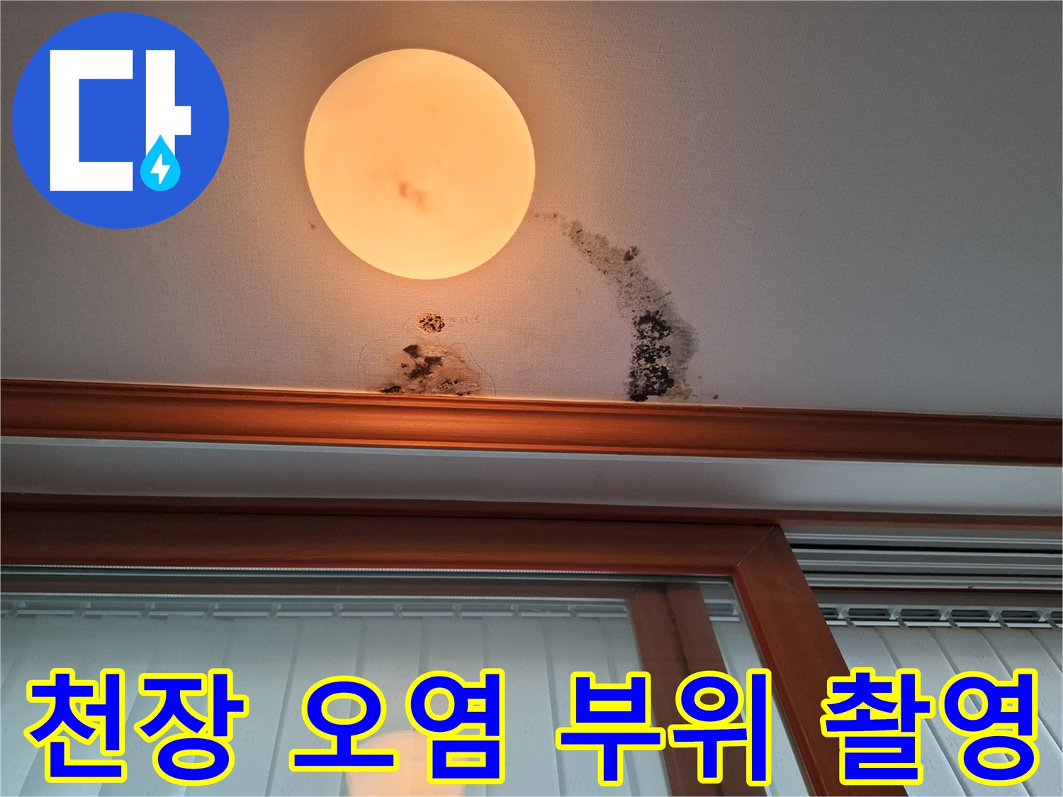 거실 천장 조명 주변-누수로 인한 갈색 얼룩과 곰팡이 흔적