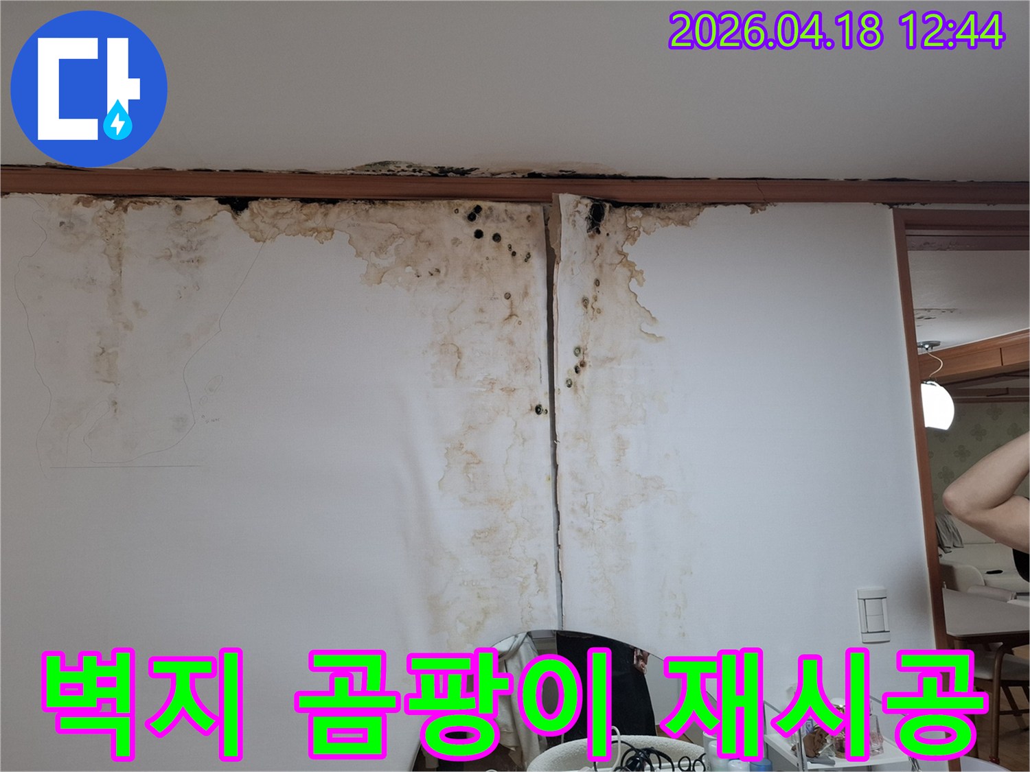 누수로-인해-벽지에-발생한-심각한-곰팡이-오염과-변색을-보여주는-사진입니다.