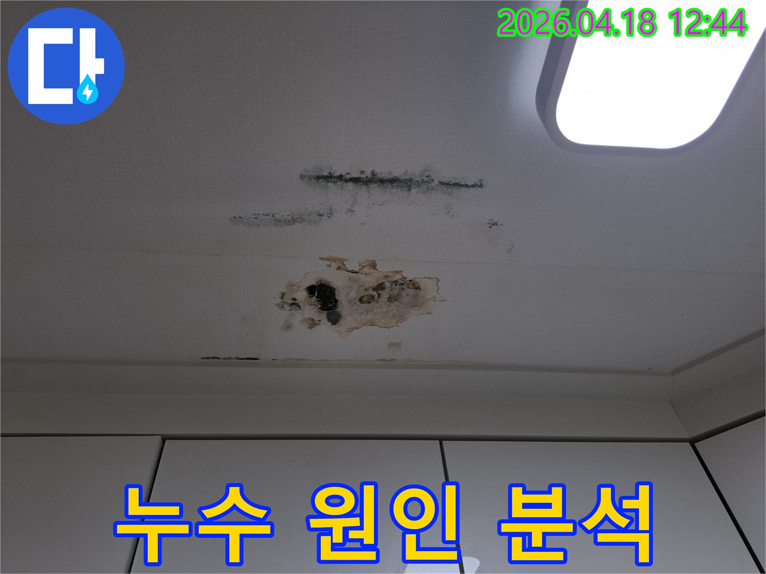 누수로-인해-천장-마감재가-손상되고-곰팡이가-번식한-아파트-천장-부분-원인-분석-필요
